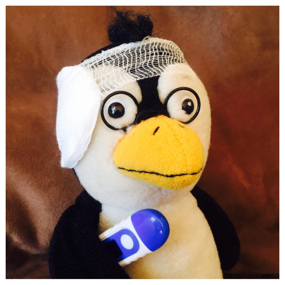 pinguin pinguin