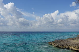DSC00687 DSC00687